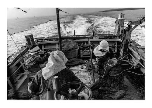 エドソウタの作品画像